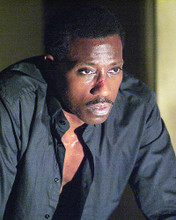 This is an image of 277845 Wesley Snipes Photograph & Poster