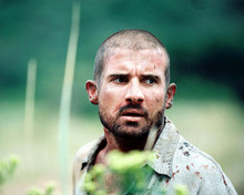 This is an image of 275647 Dominic Purcell Photograph & Poster