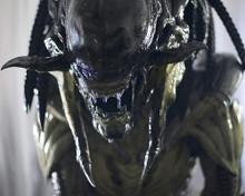 This is an image of 277820 Aliens Vs Predator Requiem Photograph & Poster