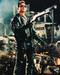 This is an image of 238134 Arnold Schwarzenegger Photograph & Poster