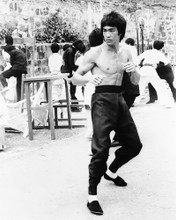 This is an image of 169342 Bruce Lee Photograph & Poster
