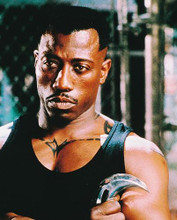 This is an image of 233749 Wesley Snipes Photograph & Poster