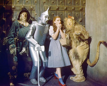 This is an image of 253934 The Wizard of Oz Photograph & Poster