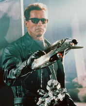 This is an image of 237305 Arnold Schwarzenegger Photograph & Poster