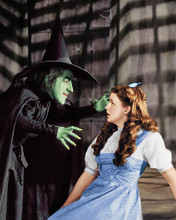 This is an image of 255823 The Wizard of Oz Photograph & Poster