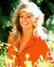 This is an image of 252382 Farrah Fawcett Photograph & Poster