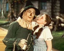 This is an image of 256896 The Wizard of Oz Photograph & Poster