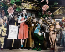 This is an image of 258360 The Wizard of Oz Photograph & Poster