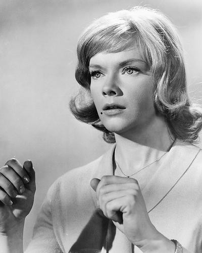 This is an image of 192607 Anne Francis Photograph & Poster