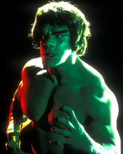 This is an image of 282116 Lou Ferrigno Photograph & Poster