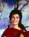 This is an image of 282133 Jean Simmons Photograph & Poster
