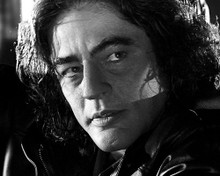 This is an image of 192668 Benicio Del Toro Photograph & Poster