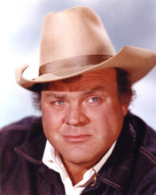 This is an image of 282159 Dan Blocker Photograph & Poster