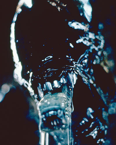 This is an image of 282243 Alien: Resurrection Photograph & Poster