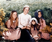 This is an image of 282274 Little House on the Prairie Photograph & Poster