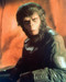This is an image of 282453 Planet of the Apes Photograph & Poster
