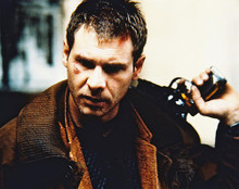 This is an image of 282463 Blade Runner Photograph & Poster