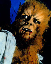 This is an image of 282903 Curse of the Werewolf Photograph & Poster