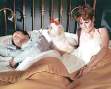 This is an image of 282993 Love American Style TV 1969 Photograph & Poster