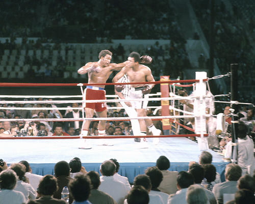 This is an image of 283235 Muhammad Ali and George Foreman Photograph & Poster