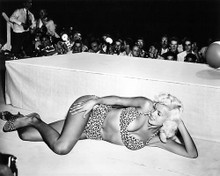 This is an image of 193404 Jayne Mansfield Photograph & Poster