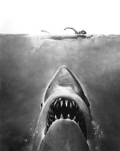 This is an image of 192947 Jaws Photograph & Poster
