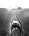 This is an image of 192947 Jaws Photograph & Poster