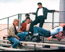 This is an image of 283002 Grease Photograph & Poster