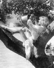 This is an image of 193004 Bo Derek Photograph & Poster
