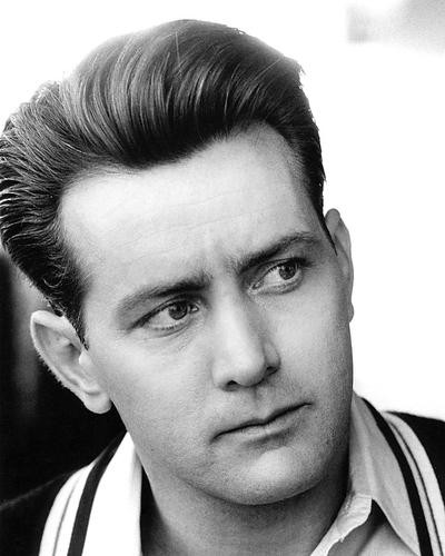 This is an image of 193229 Martin Sheen Photograph & Poster