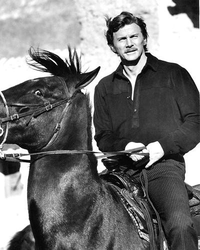 Movie Market - Photograph & Poster of Steve Forrest 193294