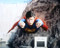 This is an image of 283178 Superman Photograph & Poster