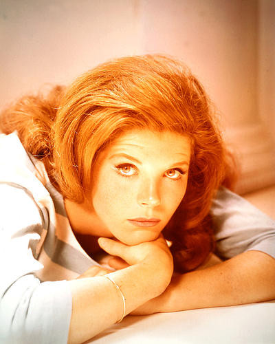 This is an image of 231006 Samantha Eggar Photograph & Poster