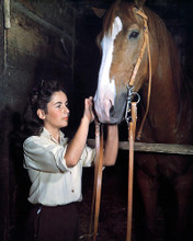 This is an image of 225916 Elizabeth Taylor Photograph & Poster