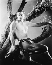 This is an image of 169149 Johnny Weissmuller Photograph & Poster