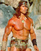 This is an image of 220726 Arnold Schwarzenegger Photograph & Poster