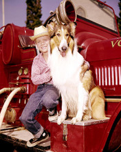 This is an image of 283952 Jon Provost and Lassie Photograph & Poster