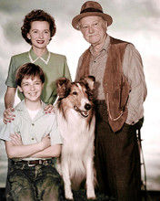 This is an image of 283953 Jon Provost and Lassie Photograph & Poster