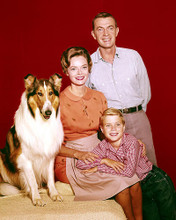 This is an image of 283955 Jon Provost and Lassie Photograph & Poster
