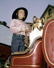 This is an image of 283956 Jon Provost and Lassie Photograph & Poster
