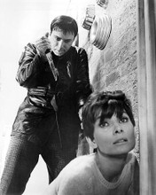 This is an image of 194175 Wait Until Dark Photograph & Poster