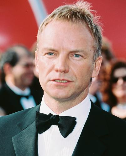 This is an image of 246582 Sting Photograph & Poster