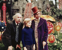 This is an image of 262489 Willy Wonka Photograph & Poster