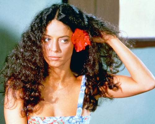 This is an image of 267244 Sonia Braga Photograph & Poster