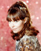 This is an image of 271551 Barbara Feldon Photograph & Poster