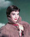 This is an image of 271867 Natalie Wood Photograph & Poster