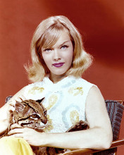 This is an image of 275621 Anne Francis Photograph & Poster