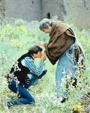 This is an image of 282205 Romeo and Juliet Photograph & Poster