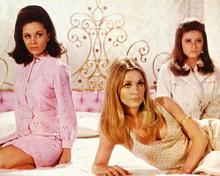 This is an image of 282226 Valley of the Dolls Photograph & Poster