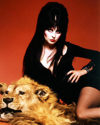 This is an image of 292675 Elvira Photograph & Poster